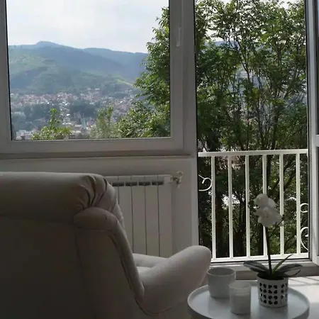 Appartement Bascarsija With A View!