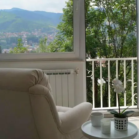 Bascarsija With A View! 公寓 *